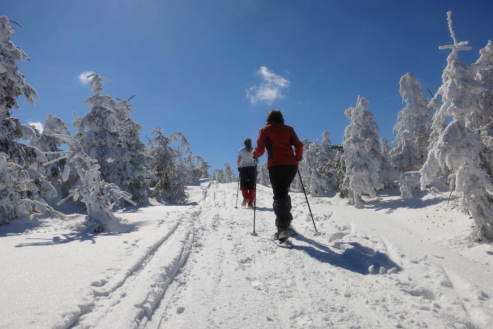 Познакомьтесь с другими способами провести время в горах зимой и наслаждайтесь этим прекрасным временем года с нами   ,
